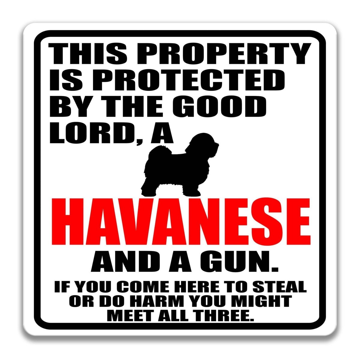 a sign with a humorous message about a property being protected by a good Lord, a Havanaese dog, and a gun.