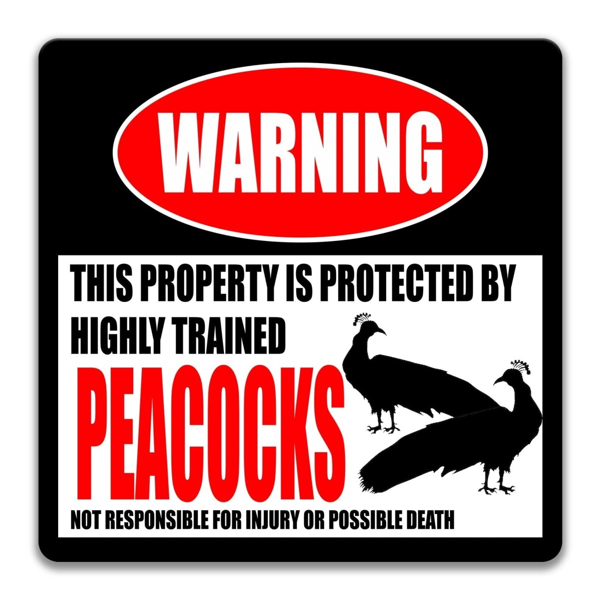 Peacocks warning sign, red WARNING banner and large peacock silhouettes, funny Peacocks lover gift, aluminum with rounded corners
