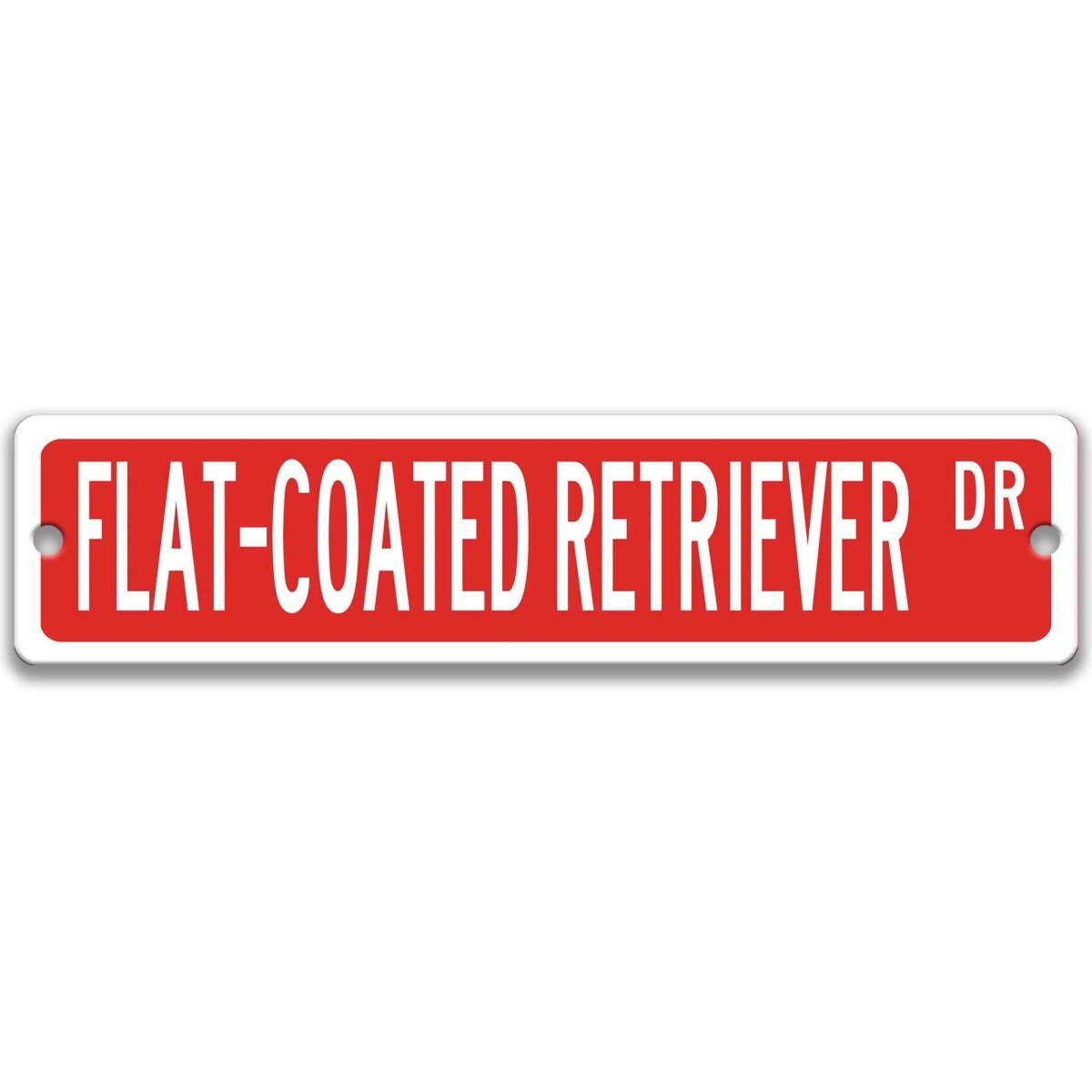 Brown Flat-Coated Retriever DR aluminum street sign with white lettering