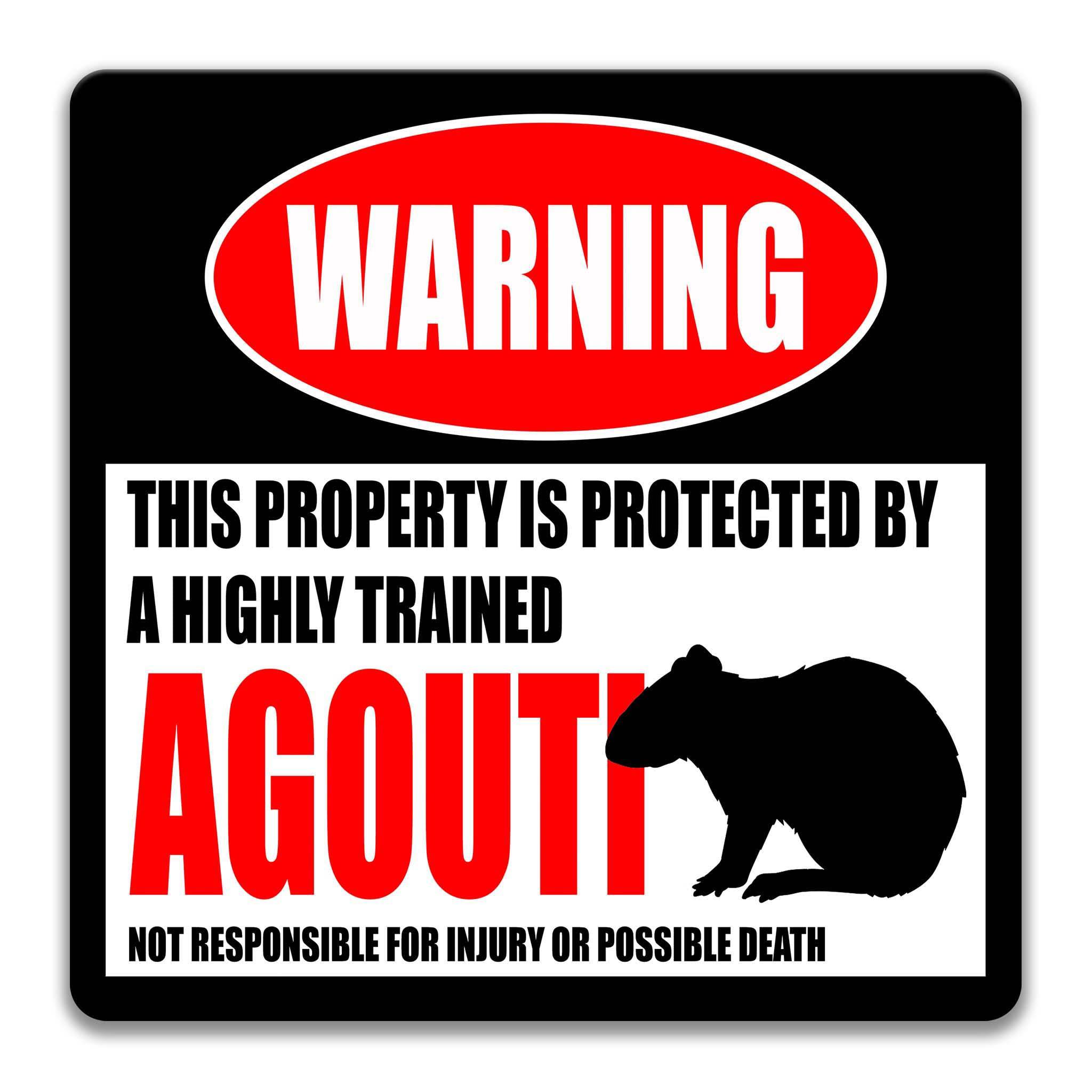 Agouti Warning Sign - Funny Cental American Decor - Rainforest Signs