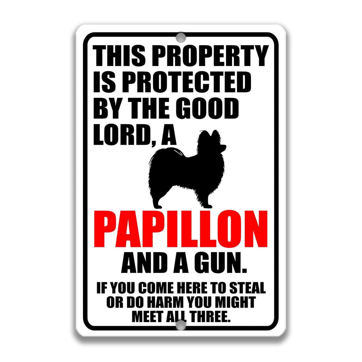 a sign with a warning about a property being protected by a good Lord, specifically a Papillon, and a gun. The sign also includes a cautionary message about potential theft or harm if someone comes to steal or harm the property.