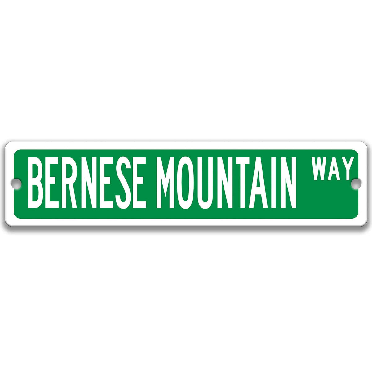 Green Bernese Mountain Dog DR aluminum street sign with white lettering