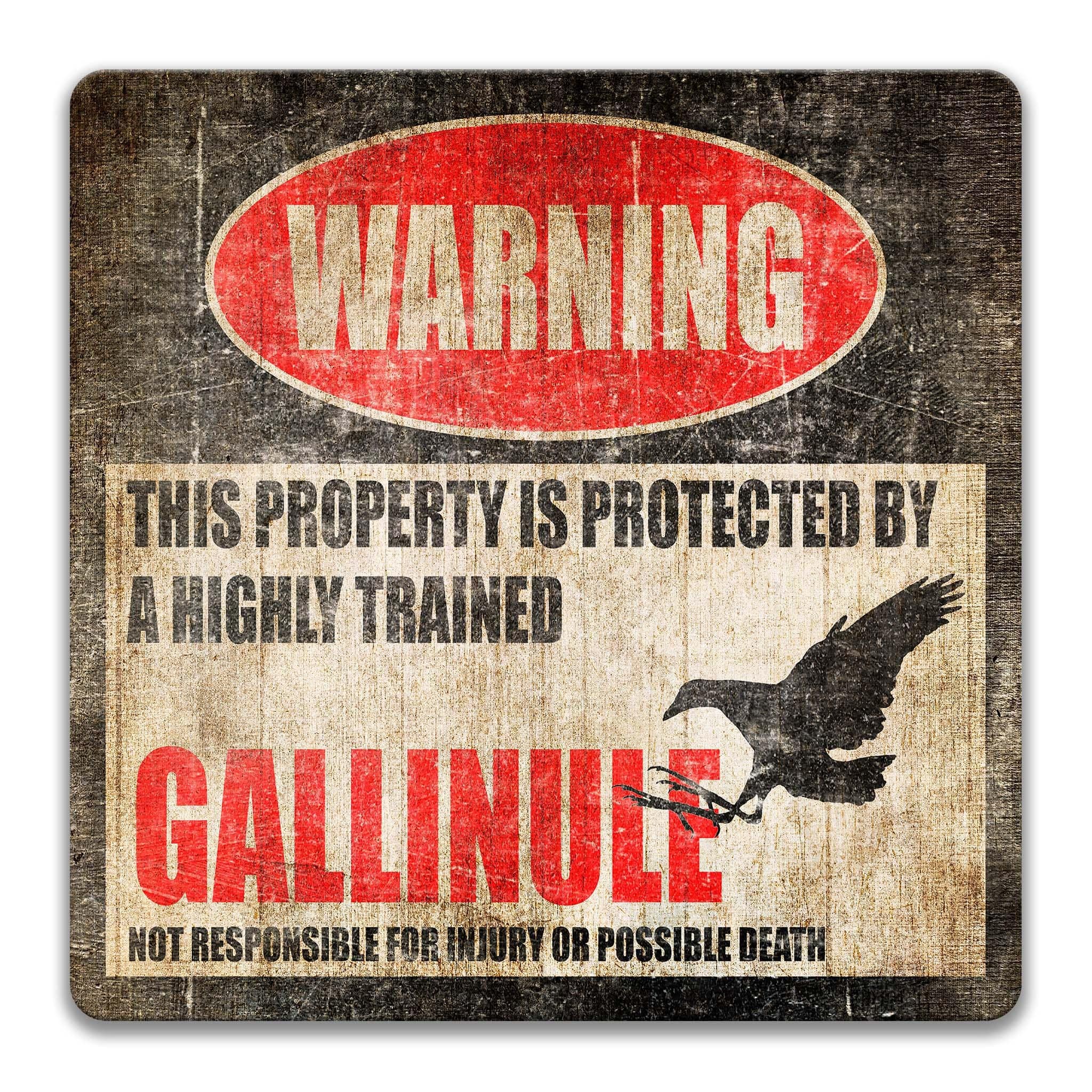 Gallinule Warning Sign, Beware of Gallinule Sign, Marsh Birds, Birdwatcher Gifts, Rallidae