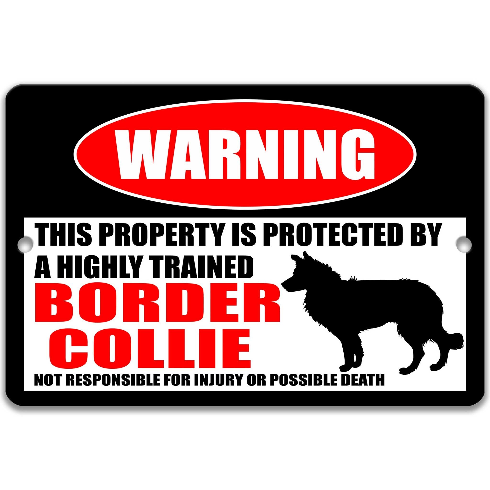 Funny Border Collie Warning Sign