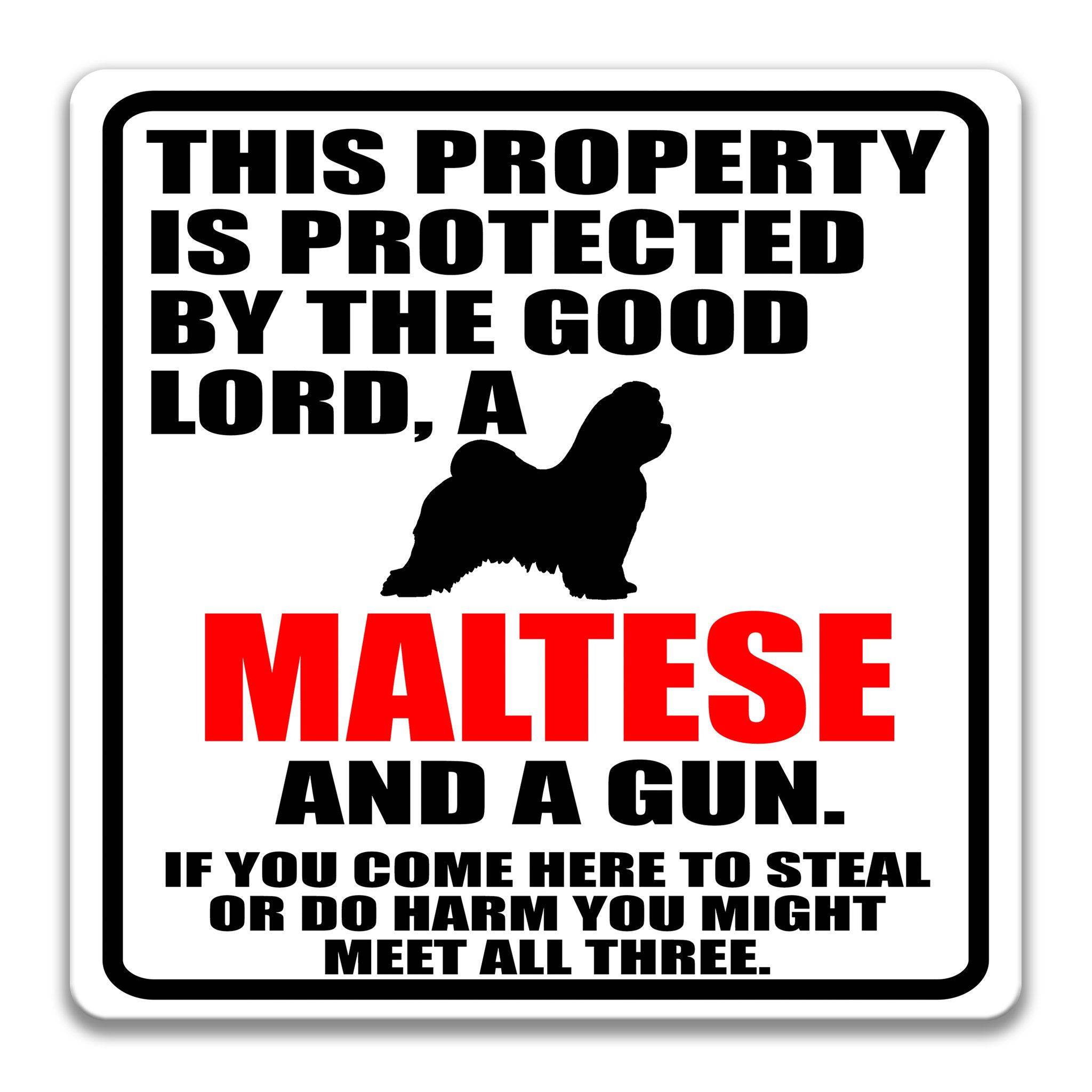 Property Protected by the Good Lord, a Maltese, and a Gun Dog Sign
