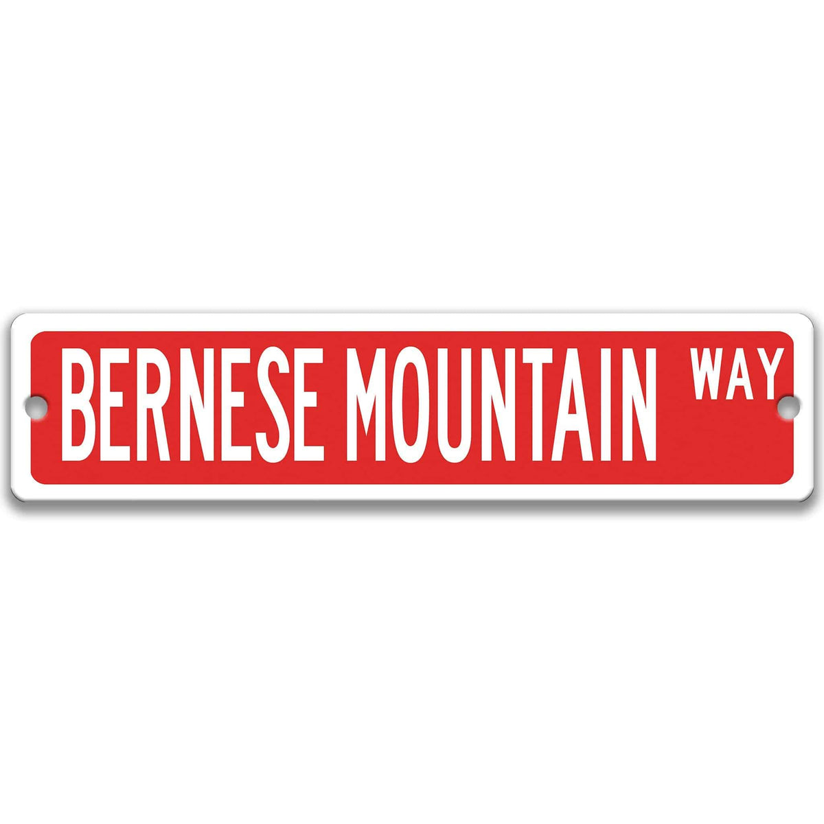 Red Bernese Mountain Dog DR aluminum street sign with white lettering
