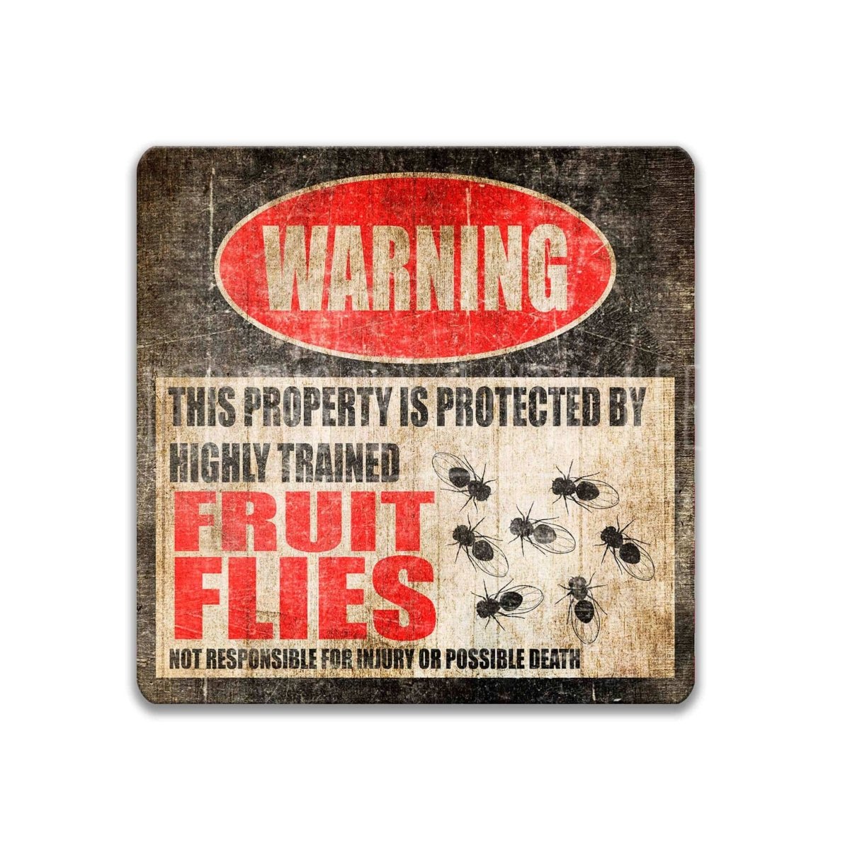 Square funny fruit flies warning sign, weathered finish, joke about highly trained fruit flies with fly graphics