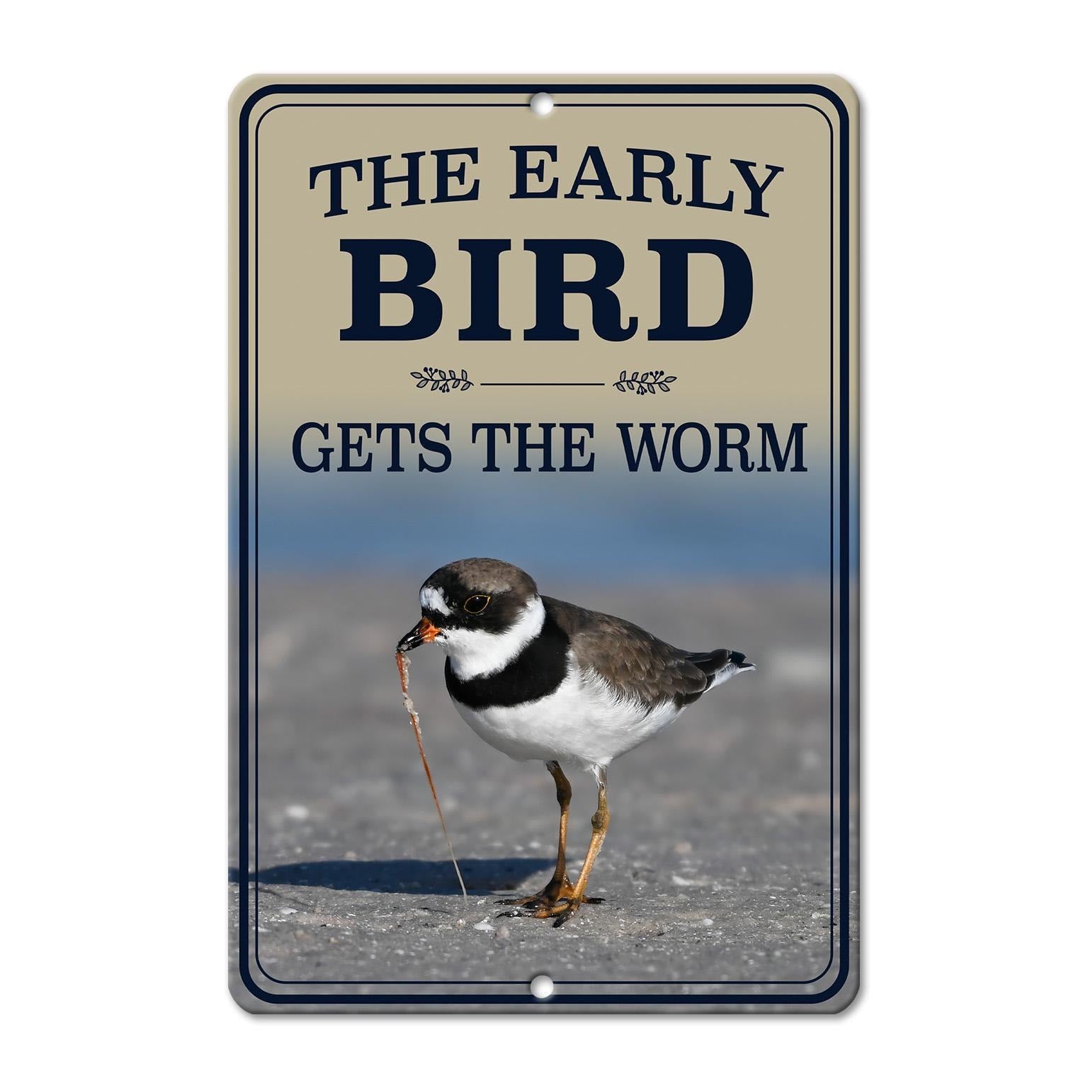 a bird standing on a beach, with a sign above it that reads "The early bird gets the worm".
