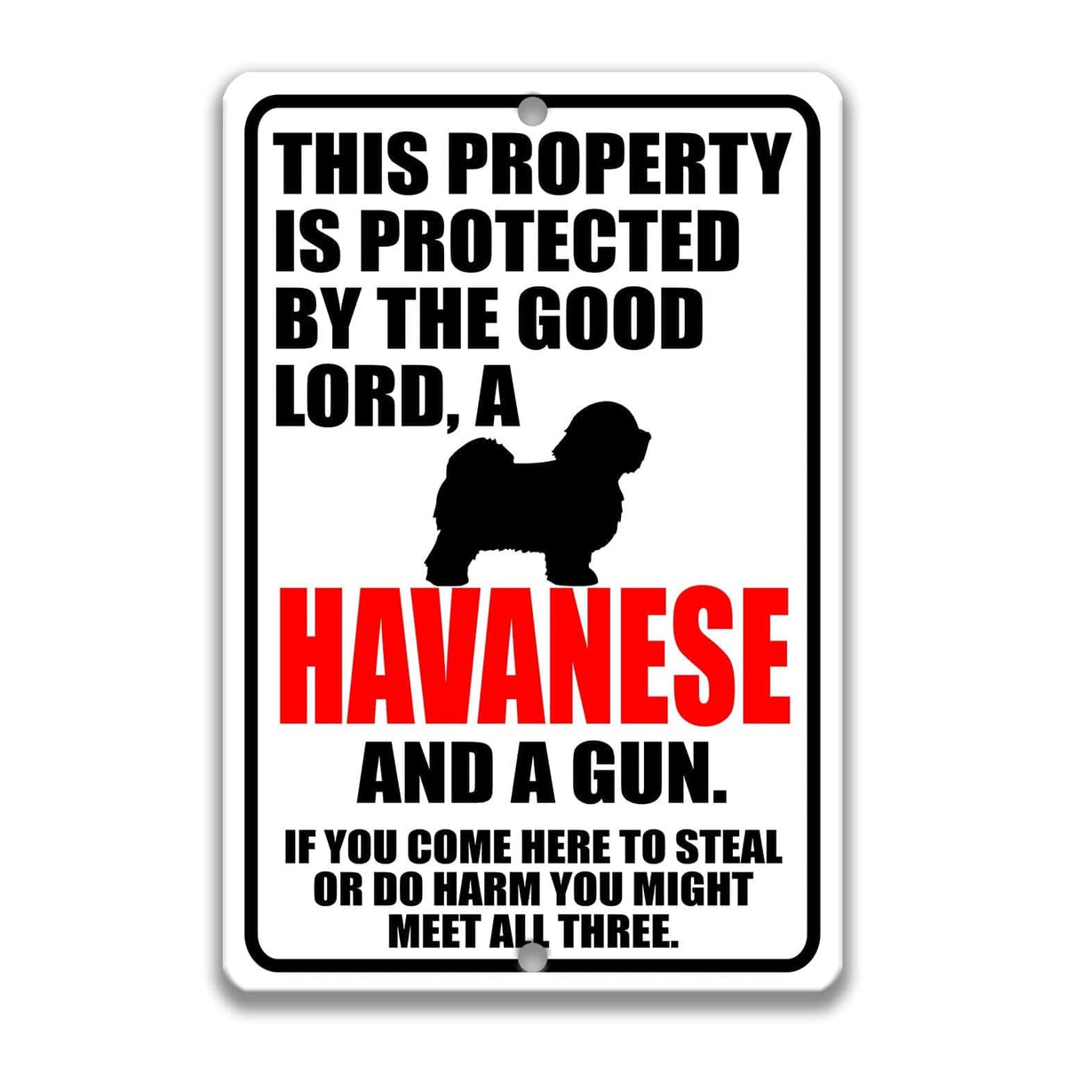 a sign with a warning message about a property being protected by a good Lord, a Havanaese dog, and a gun. The sign also includes a cautionary note about potential theft or harm if someone comes to steal or harm the dog.