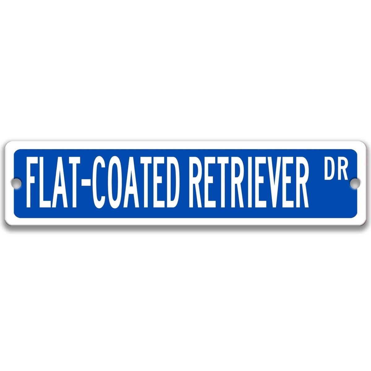 Red Flat-Coated Retriever DR aluminum street sign with white lettering