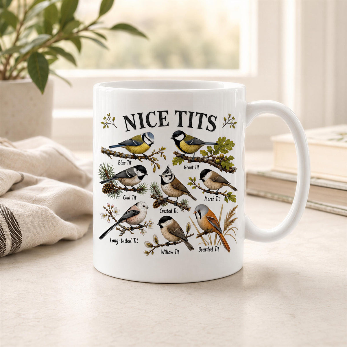 Nice Tits mug on a kitchen counter with a striped towel, stacked books and a potted plant by a sunny window
