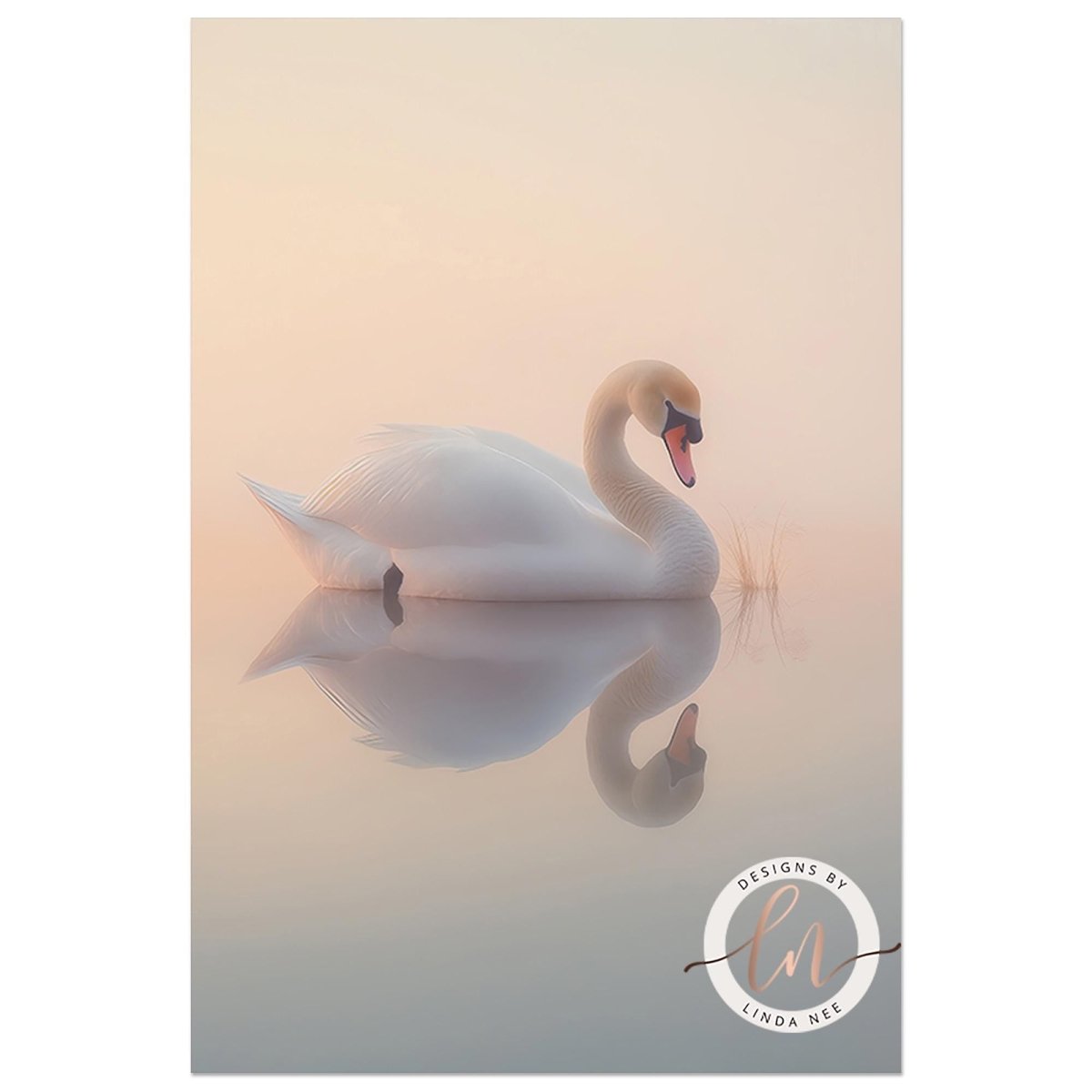 A white swan gracefully floating on a calm body of water, its reflection perfectly mirrored in the still surface.