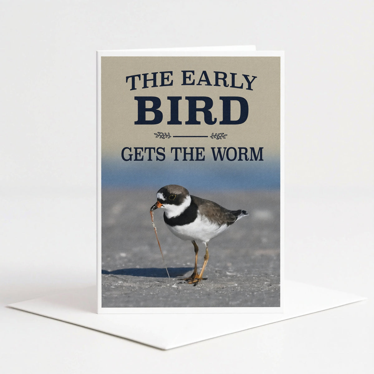 Florida shorebird with a worm and the early bird quote on a 5x7 greeting card
