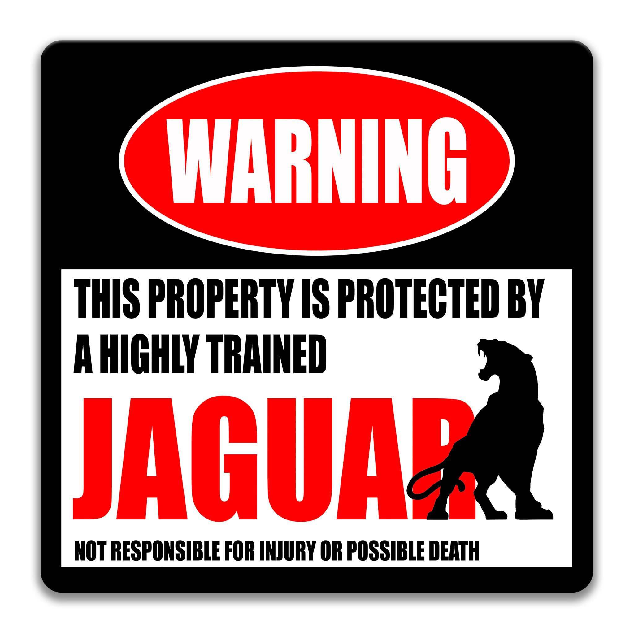 Funny Jaguar Warning Sign, Big Cat Lover, Panther, Puma, Cougar, Feline, Leopard