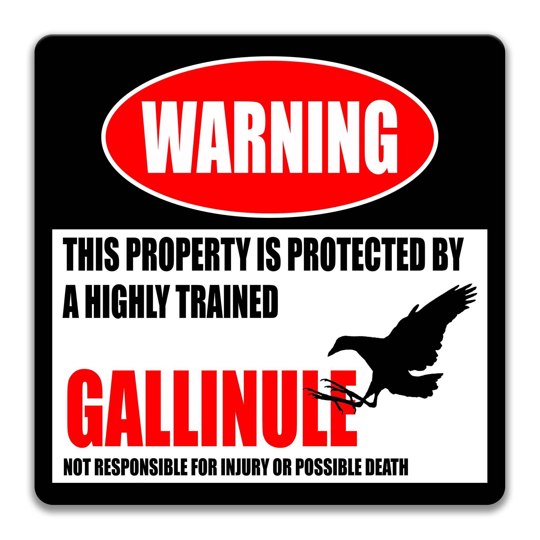 Gallinule Warning Sign, Beware of Gallinule Sign, Marsh Birds, Birdwatcher Gifts, Rallidae