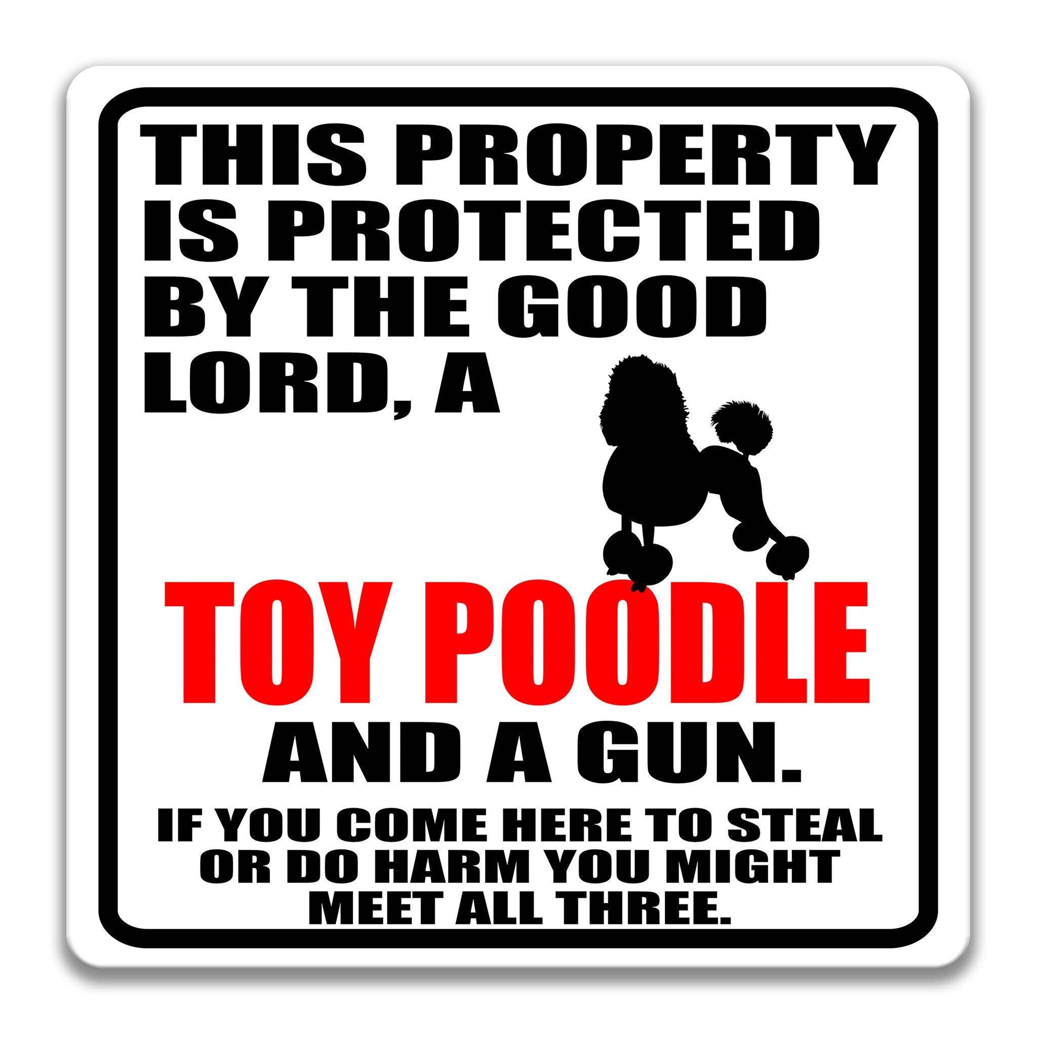 Property Protected by the Good Lord, a Toy Poodle, and a Gun Dog Sign