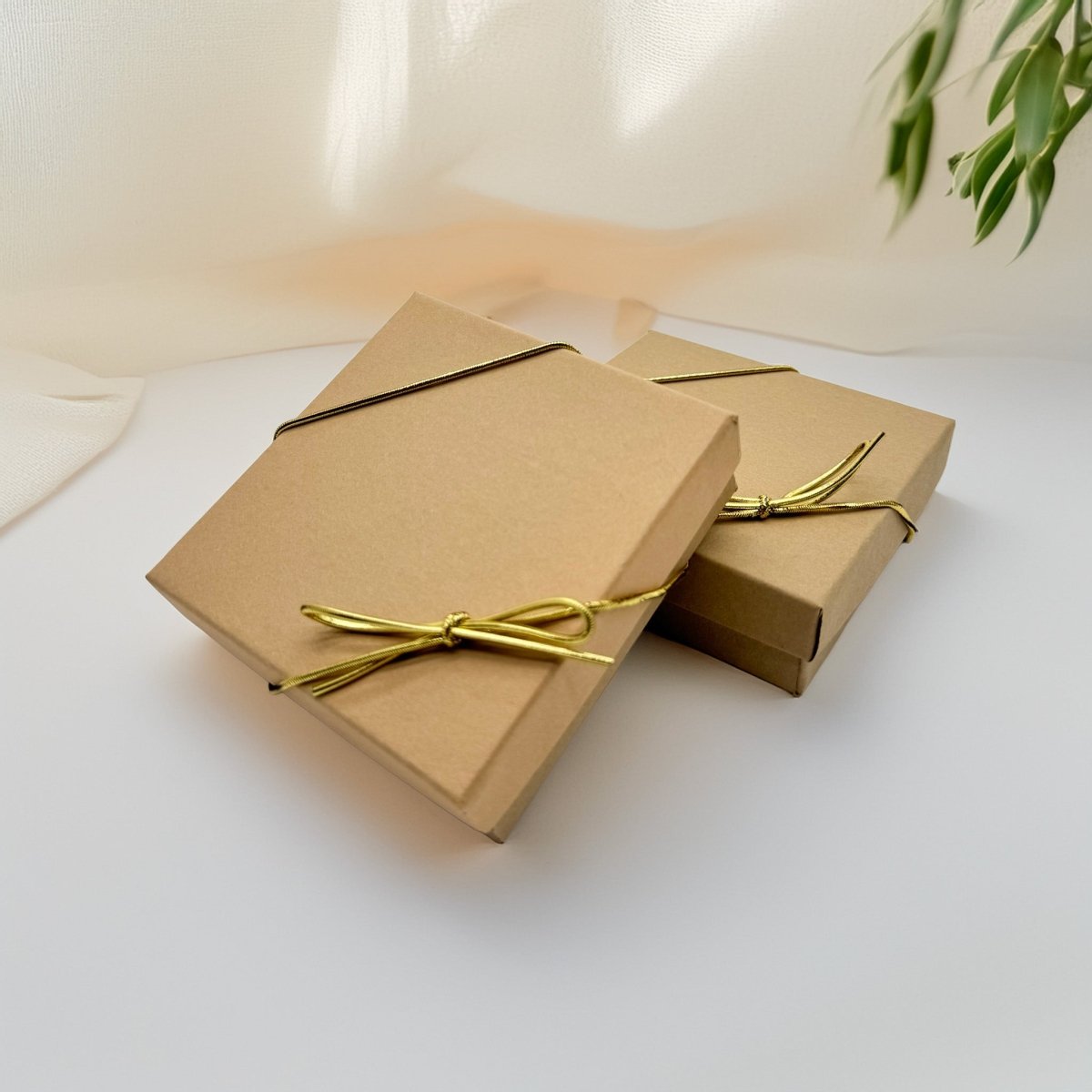 Two brown cardboard boxes tied with gold ribbons, placed on a white surface with a plant visible in the background.